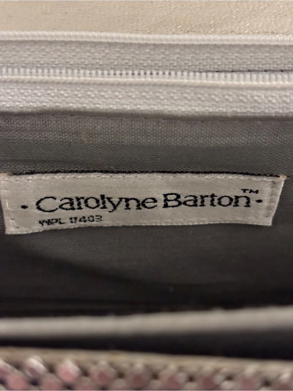 Vintage Carolyne Barton Silver Mesh Evening Clutch Shoulder Bag Chain Strap